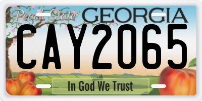 GA license plate CAY2065