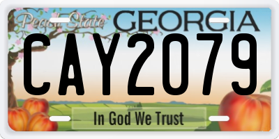 GA license plate CAY2079