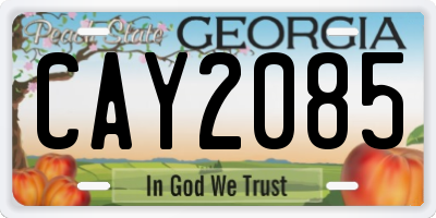 GA license plate CAY2085