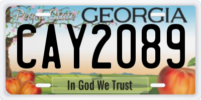 GA license plate CAY2089