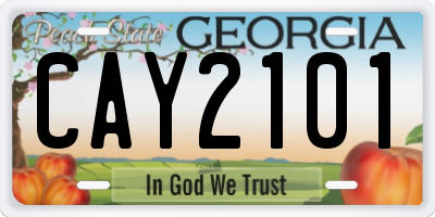 GA license plate CAY2101