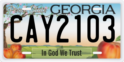 GA license plate CAY2103