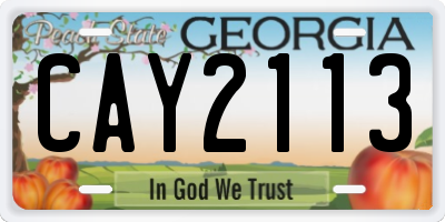 GA license plate CAY2113