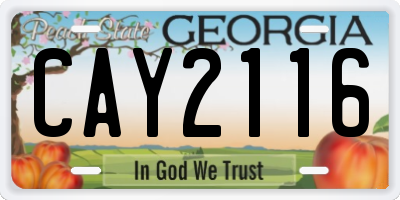 GA license plate CAY2116