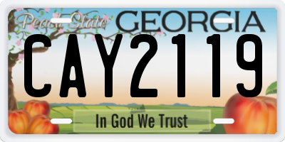 GA license plate CAY2119