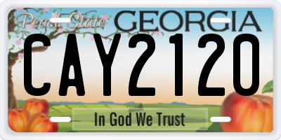 GA license plate CAY2120