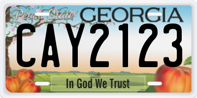 GA license plate CAY2123