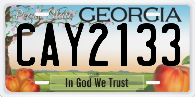 GA license plate CAY2133