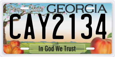 GA license plate CAY2134