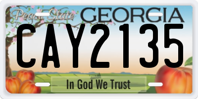 GA license plate CAY2135