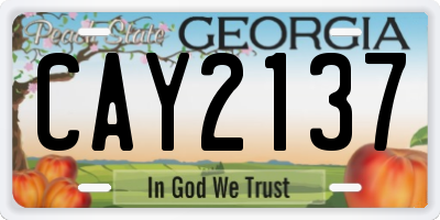 GA license plate CAY2137