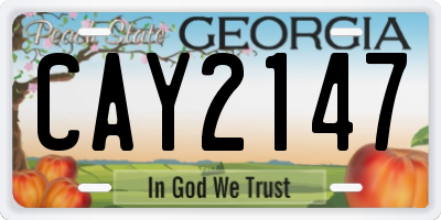 GA license plate CAY2147
