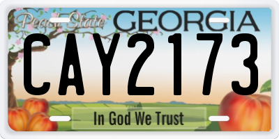 GA license plate CAY2173