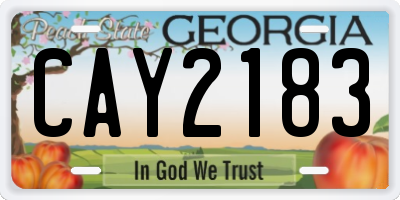 GA license plate CAY2183