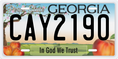 GA license plate CAY2190
