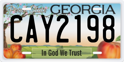 GA license plate CAY2198