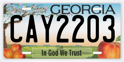 GA license plate CAY2203