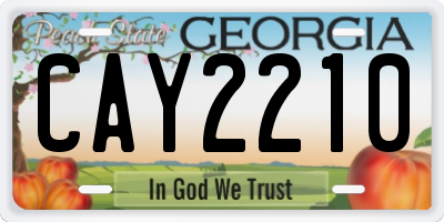 GA license plate CAY2210