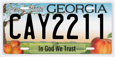 GA license plate CAY2211