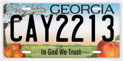 GA license plate CAY2213