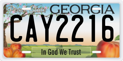 GA license plate CAY2216