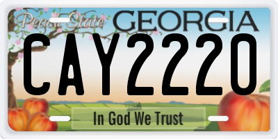 GA license plate CAY2220