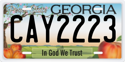GA license plate CAY2223