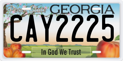 GA license plate CAY2225
