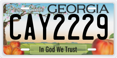 GA license plate CAY2229