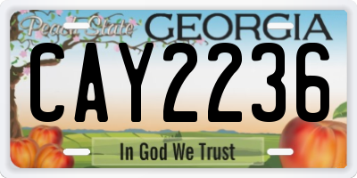 GA license plate CAY2236