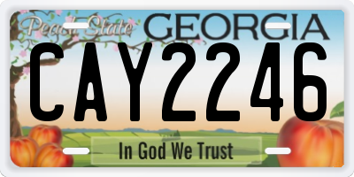 GA license plate CAY2246