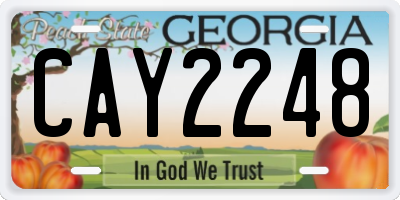 GA license plate CAY2248