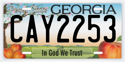 GA license plate CAY2253
