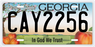 GA license plate CAY2256