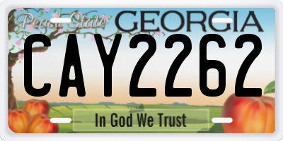 GA license plate CAY2262