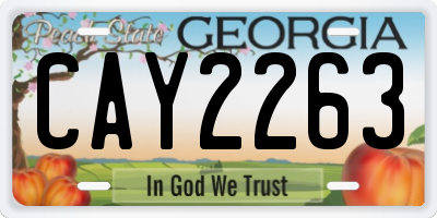 GA license plate CAY2263