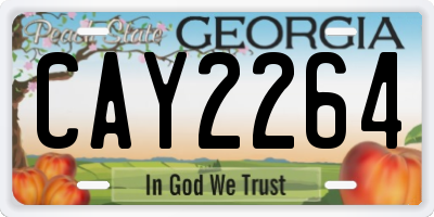 GA license plate CAY2264