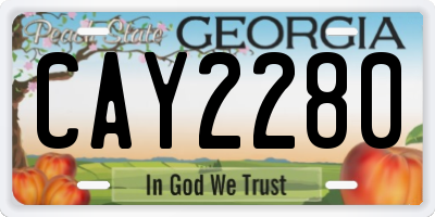 GA license plate CAY2280