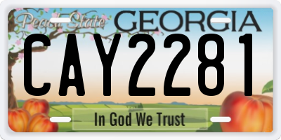 GA license plate CAY2281