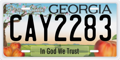 GA license plate CAY2283