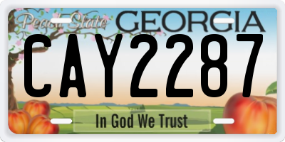 GA license plate CAY2287