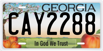 GA license plate CAY2288