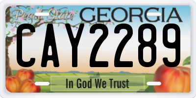 GA license plate CAY2289