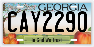 GA license plate CAY2290
