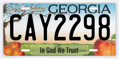 GA license plate CAY2298