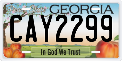GA license plate CAY2299