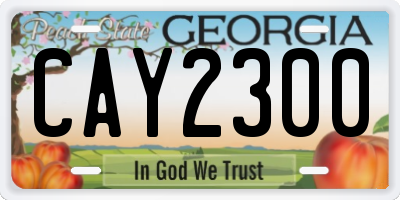 GA license plate CAY2300