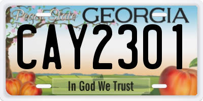 GA license plate CAY2301