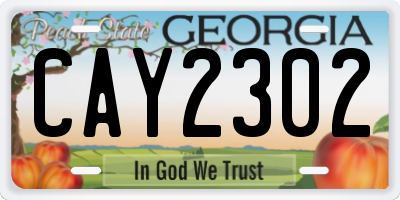 GA license plate CAY2302