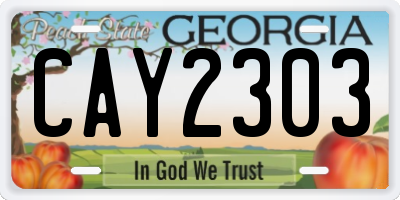 GA license plate CAY2303